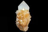 Sunshine Cactus Quartz Crystal - South Africa #80192-2